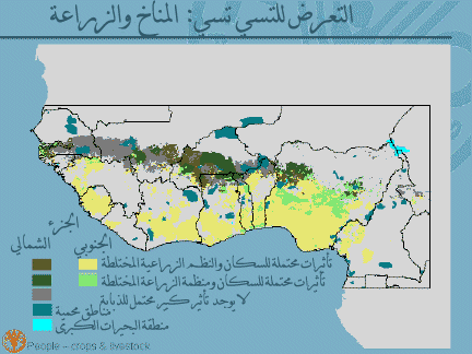 Undisplayed Graphic