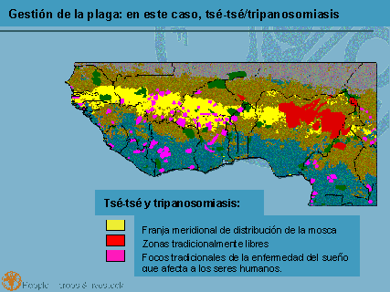 Undisplayed Graphic