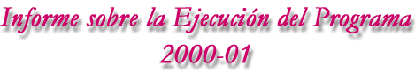 Informe sobre la Ejecuci&oacute;n del Programa 2000-01