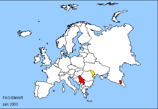 Europe Map