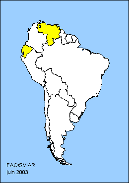 South America Map