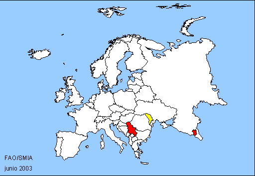 Europe Map