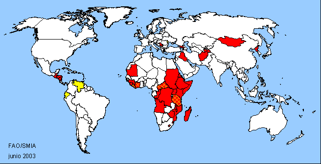 World Map