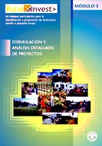 FORMULACI�N Y AN�LISIS DETALLADO DE PROYECTOS