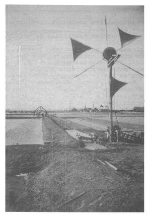 Fotograf&iacute;a 29