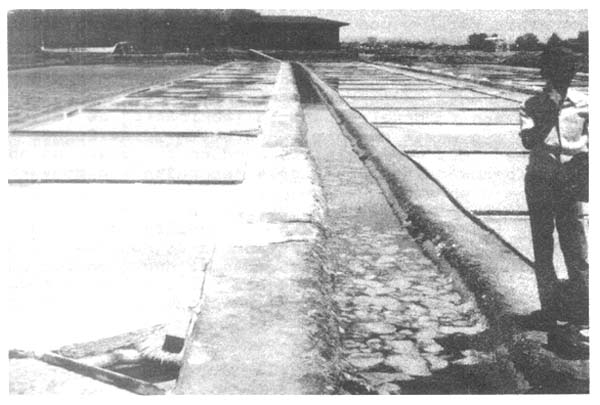 Fotograf&iacute;a 26