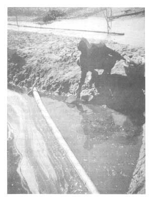 Fotograf&iacute;a 27