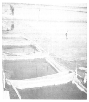 Fotograf&iacute;a 28