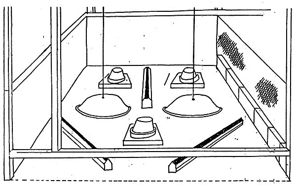Planche 5