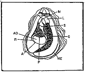 Figure 2-3