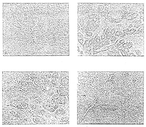 Figure 4-5