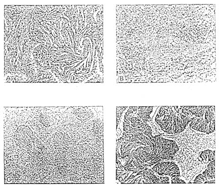 Figure 4-6