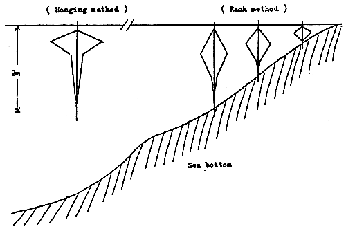 Figure 4-8