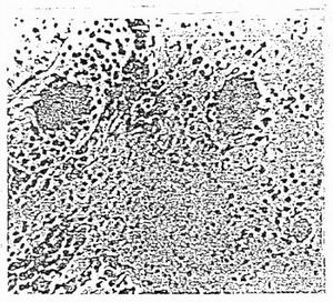 Figure 6-3