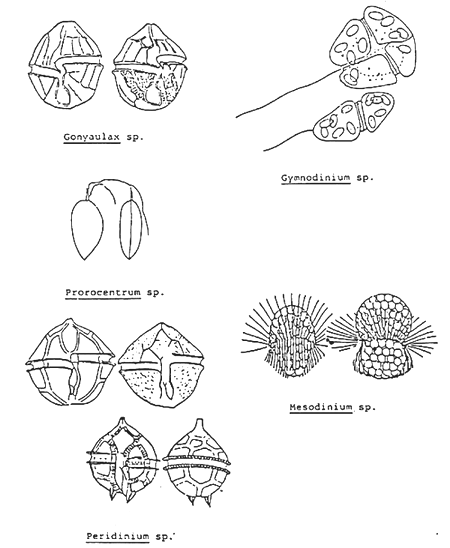Figure 6-6