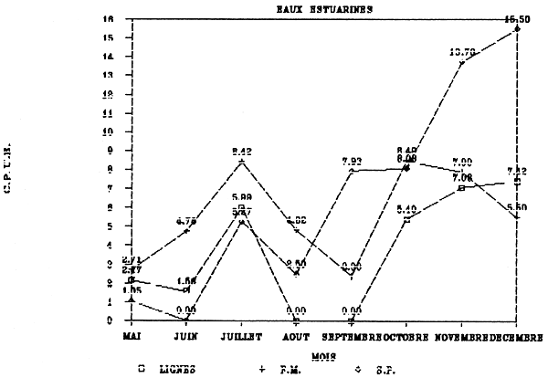 Figure 51