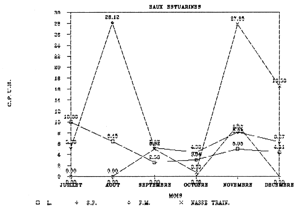FIGURE 55