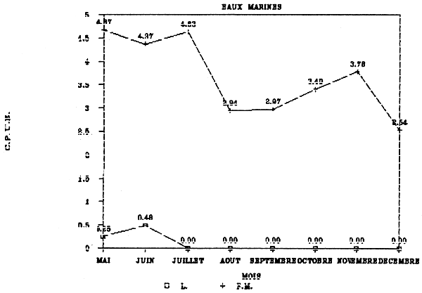 FIGURE 60