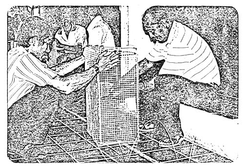 Fig. 3