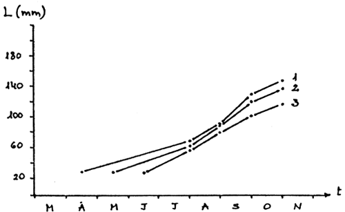 Fig. 11