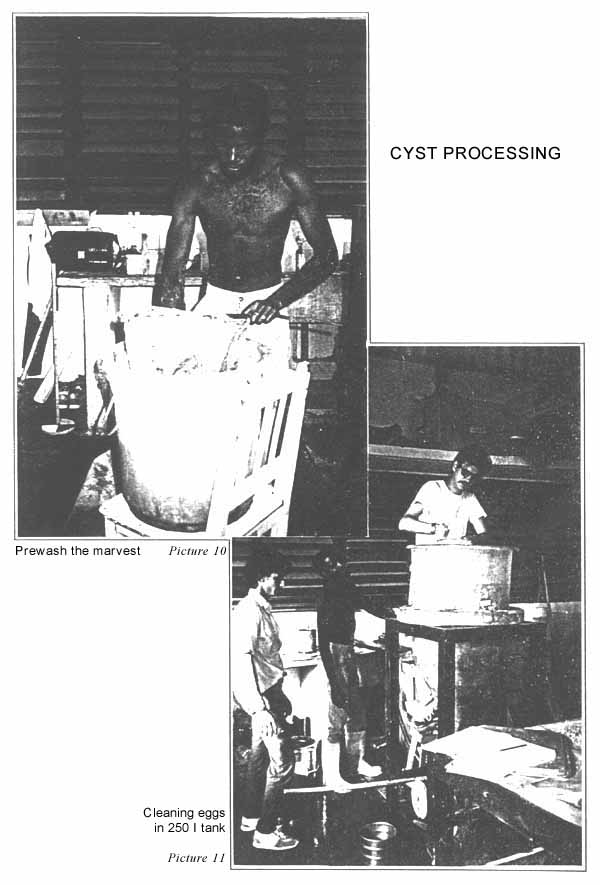 Picture 10 & Picture 11