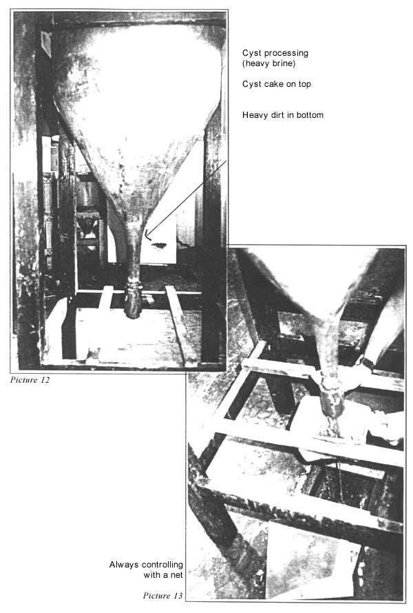 Picture 12 & Picture 13