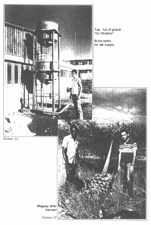 Picture 14 & Picture 15