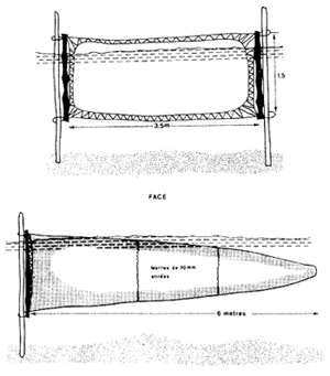Fig.19