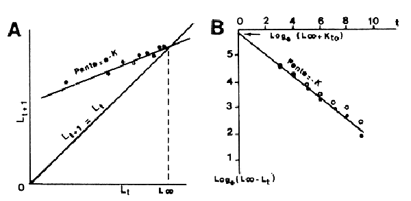 Fig.35