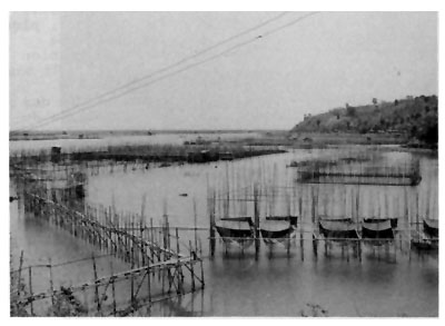 Fig. 1c