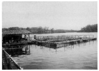 Fig. 2a