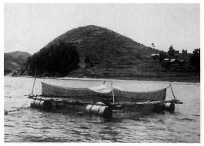 Fig. 2c
