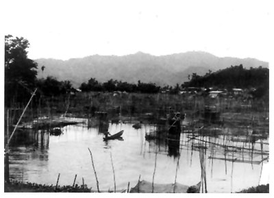 Fig4
