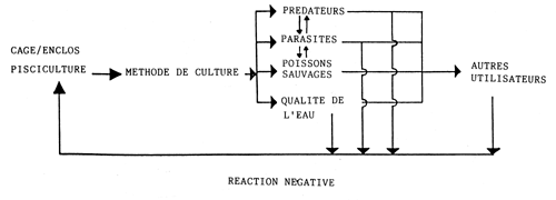 Fig13
