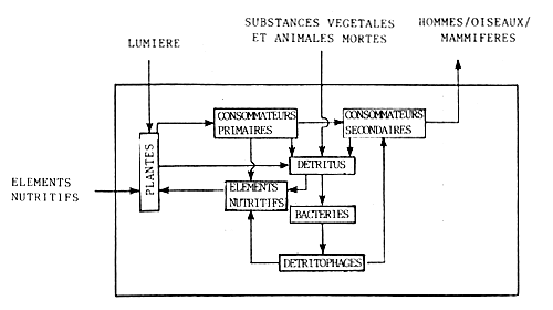 Fig15