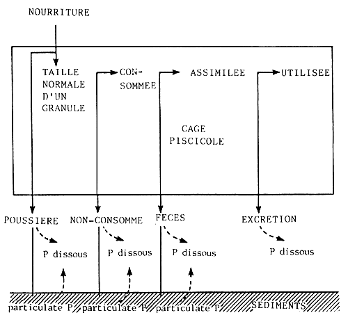 Fig17