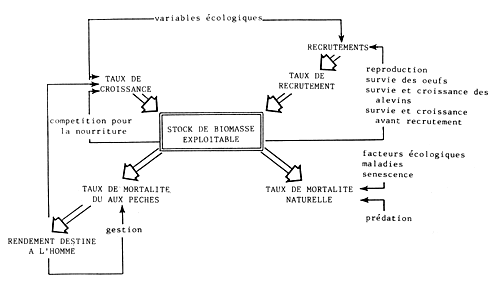 Fig24
