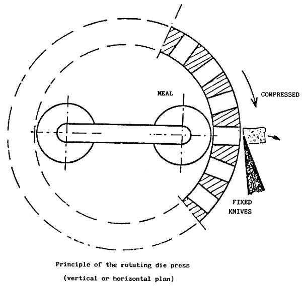 Figure N<sup>o</sup> 1