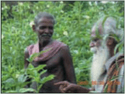 Report of the regional workshop on rehabilitation of agriculture in tsunami affected areas: one and a half years later