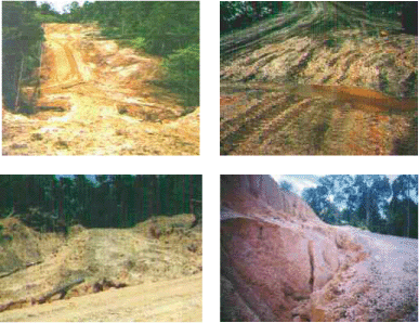 Taking Stock: Assessing Progress in developing and implementing codes of Practice for forest harvesting in ASEAN member countries