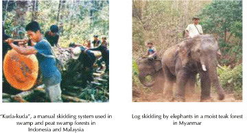 Taking Stock: Assessing Progress in developing and implementing codes of Practice for forest harvesting in ASEAN member countries