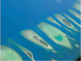 THE NEXT WAVE
OUTCOMES OF THE REGIONAL WORKSHOP ON
INFORMATION MANAGEMENT AND COORDINATION MECHANISMS OF
TSUNAMI EMERGENCY AND REHABILITATION OPERATIONS IN
AGRICULTURE, FISHERIES AND FORESTRY