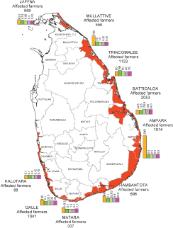 THE NEXT WAVE
OUTCOMES OF THE REGIONAL WORKSHOP ON
INFORMATION MANAGEMENT AND COORDINATION MECHANISMS OF
TSUNAMI EMERGENCY AND REHABILITATION OPERATIONS IN
AGRICULTURE, FISHERIES AND FORESTRY
