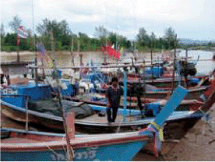 THE NEXT WAVE
OUTCOMES OF THE REGIONAL WORKSHOP ON
INFORMATION MANAGEMENT AND COORDINATION MECHANISMS OF
TSUNAMI EMERGENCY AND REHABILITATION OPERATIONS IN
AGRICULTURE, FISHERIES AND FORESTRY