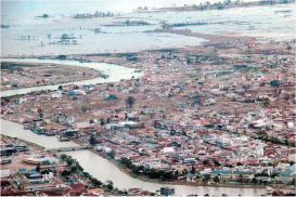 THE NEXT WAVE
OUTCOMES OF THE REGIONAL WORKSHOP ON
INFORMATION MANAGEMENT AND COORDINATION MECHANISMS OF
TSUNAMI EMERGENCY AND REHABILITATION OPERATIONS IN
AGRICULTURE, FISHERIES AND FORESTRY