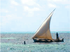 THE NEXT WAVE
OUTCOMES OF THE REGIONAL WORKSHOP ON
INFORMATION MANAGEMENT AND COORDINATION MECHANISMS OF
TSUNAMI EMERGENCY AND REHABILITATION OPERATIONS IN
AGRICULTURE, FISHERIES AND FORESTRY