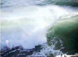 THE NEXT WAVE
OUTCOMES OF THE REGIONAL WORKSHOP ON
INFORMATION MANAGEMENT AND COORDINATION MECHANISMS OF
TSUNAMI EMERGENCY AND REHABILITATION OPERATIONS IN
AGRICULTURE, FISHERIES AND FORESTRY