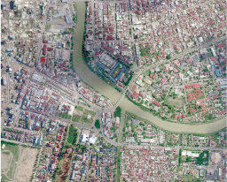 THE NEXT WAVE
OUTCOMES OF THE REGIONAL WORKSHOP ON
INFORMATION MANAGEMENT AND COORDINATION MECHANISMS OF
TSUNAMI EMERGENCY AND REHABILITATION OPERATIONS IN
AGRICULTURE, FISHERIES AND FORESTRY