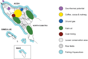 THE NEXT WAVE
OUTCOMES OF THE REGIONAL WORKSHOP ON
INFORMATION MANAGEMENT AND COORDINATION MECHANISMS OF
TSUNAMI EMERGENCY AND REHABILITATION OPERATIONS IN
AGRICULTURE, FISHERIES AND FORESTRY