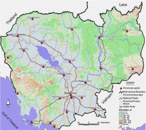 DEVELOPING AN ASIA-PACIFIC STRATEGY
FOR FOREST INVASIVE SPECIES:
THE COCONUT BEETLE PROBLEM �
BRIDGING AGRICULTURE AND FORESTRY